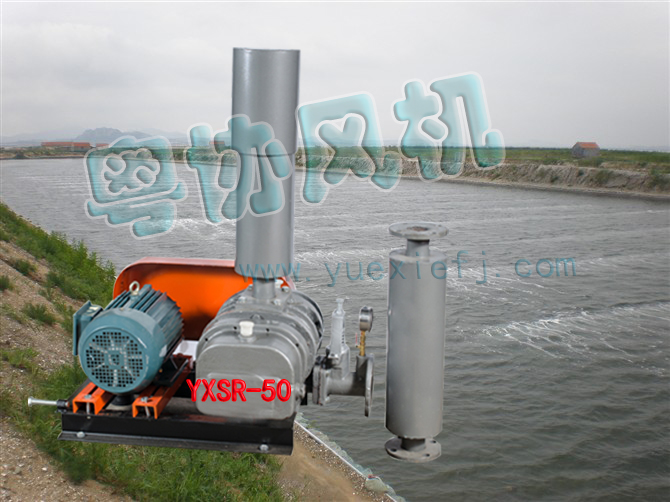水產(chǎn)養(yǎng)殖增氧風(fēng)機.jpg