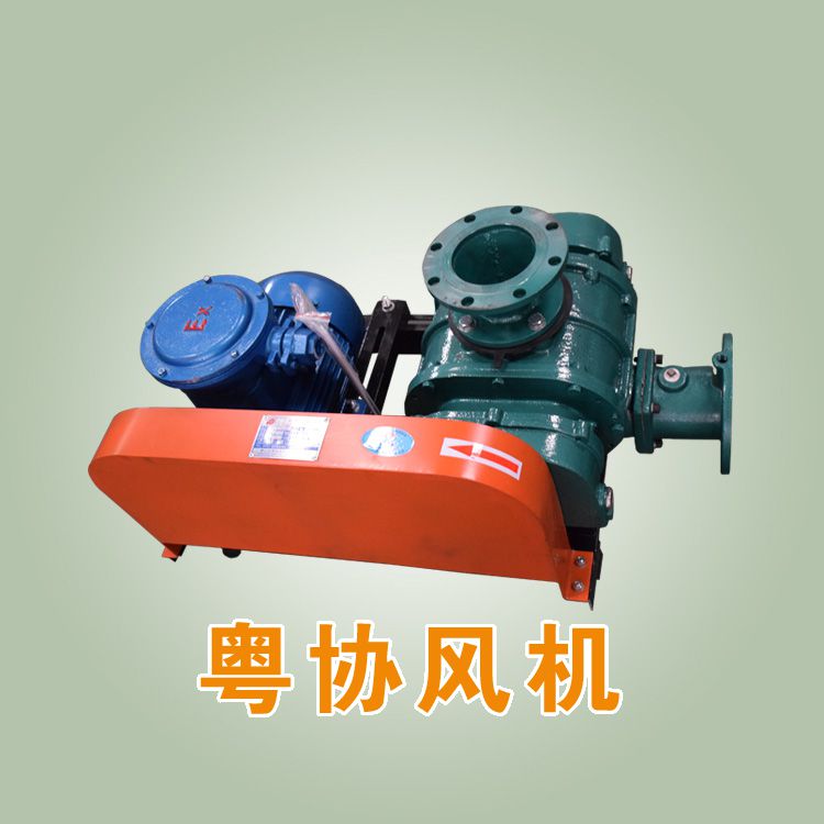 負(fù)壓羅茨風(fēng)機(jī).jpg