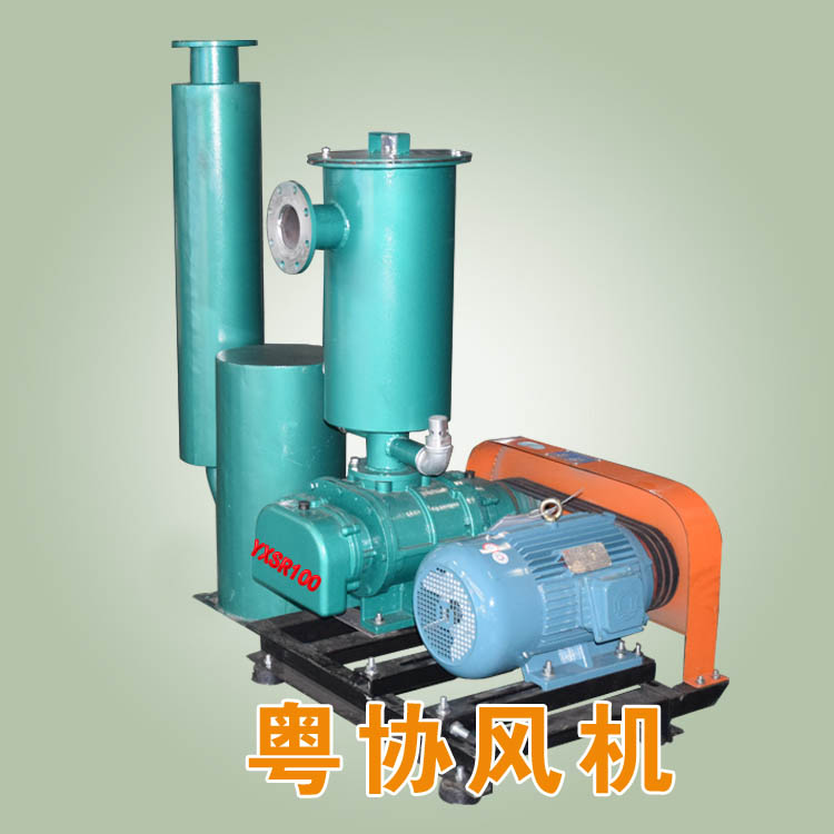 負(fù)壓羅茨風(fēng)機(jī).jpg
