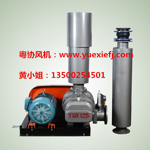 高溫羅茨風(fēng)機(jī)
